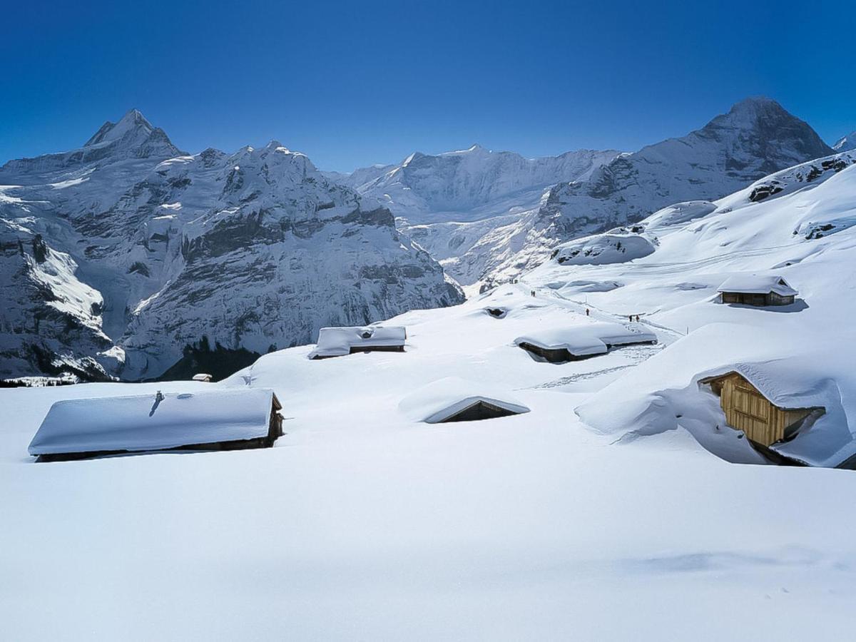 Apartment Chalet Beausite Grindelwald Exterior foto